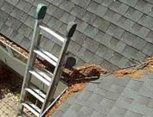 What is Gutter Cleaning and Why is It Important?